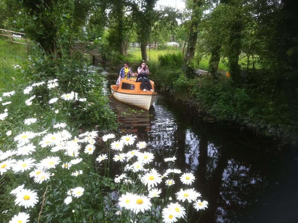 Caheroyn House Bed & Breakfast Athenry Luaran gambar