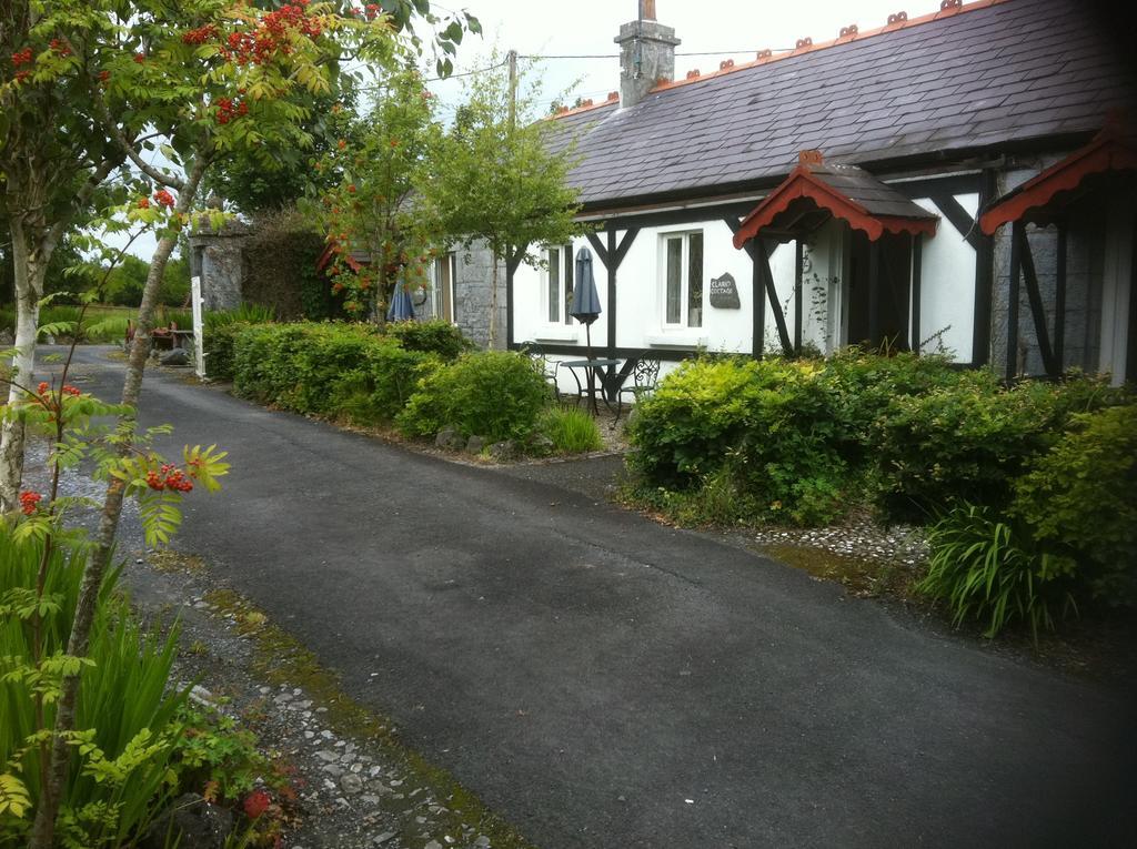 Caheroyn House Bed & Breakfast Athenry Luaran gambar