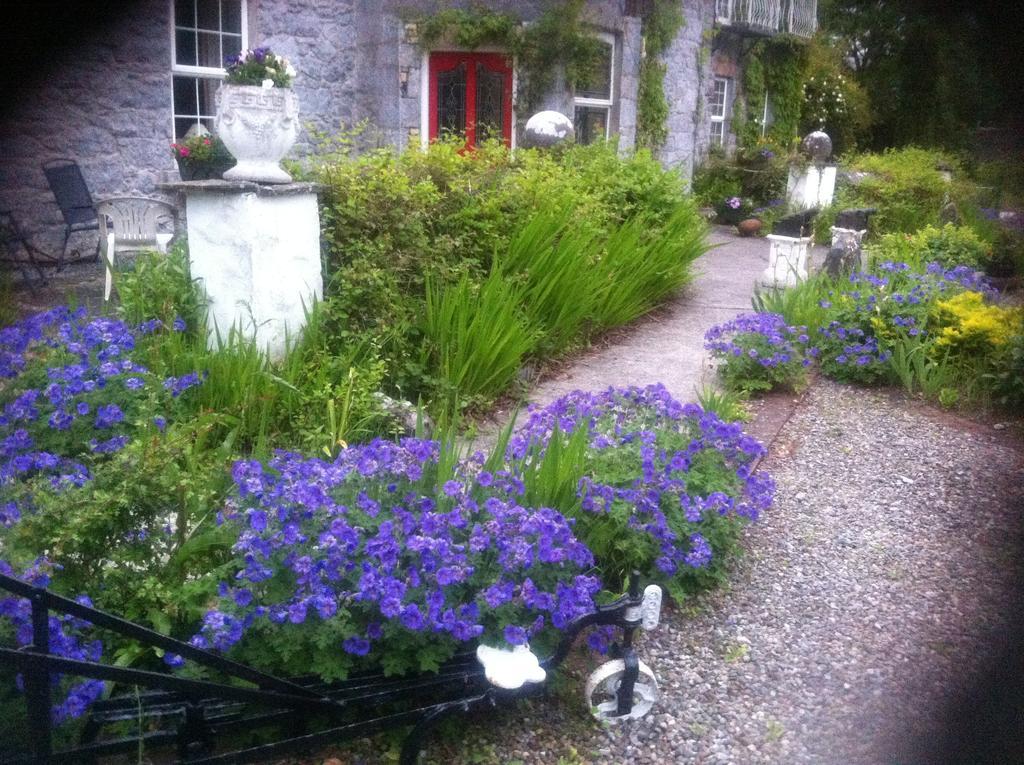 Caheroyn House Bed & Breakfast Athenry Luaran gambar