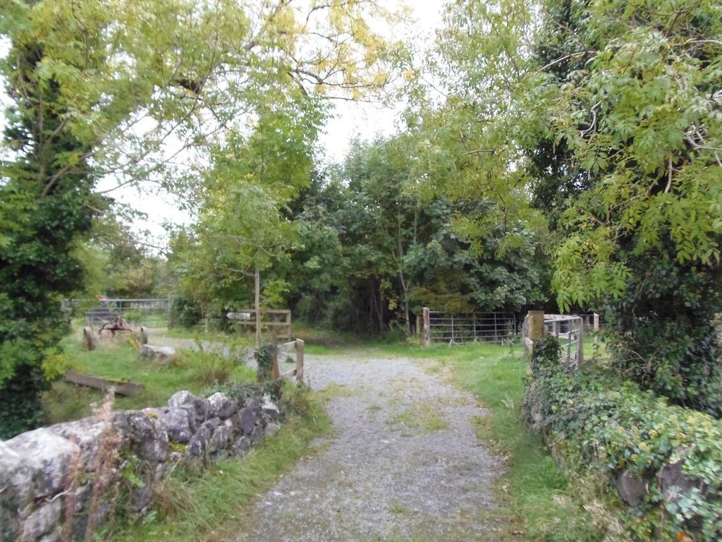 Caheroyn House Bed & Breakfast Athenry Luaran gambar